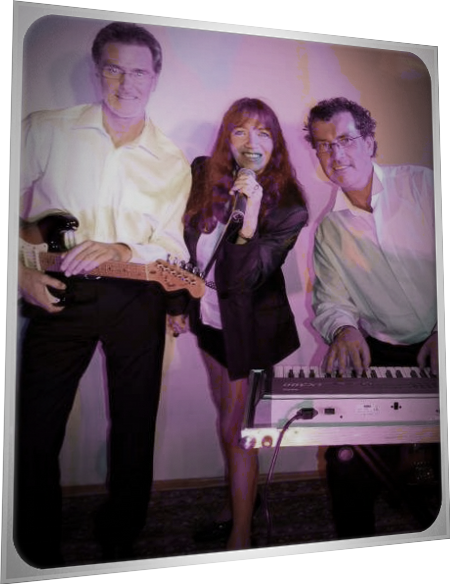 Alleinunterhalter Duo Trio